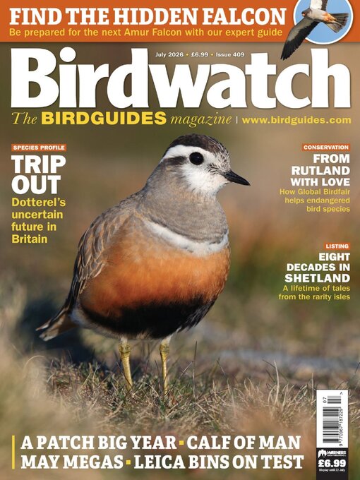 Cover image for Birdwatch
